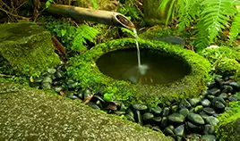 Manutenção em Jardins