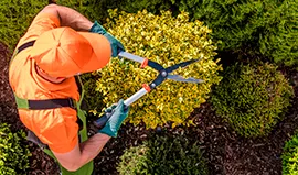 Serviços de Paisagismo