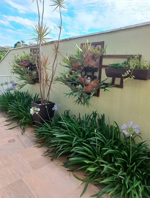 Limpeza de Áreas Externas