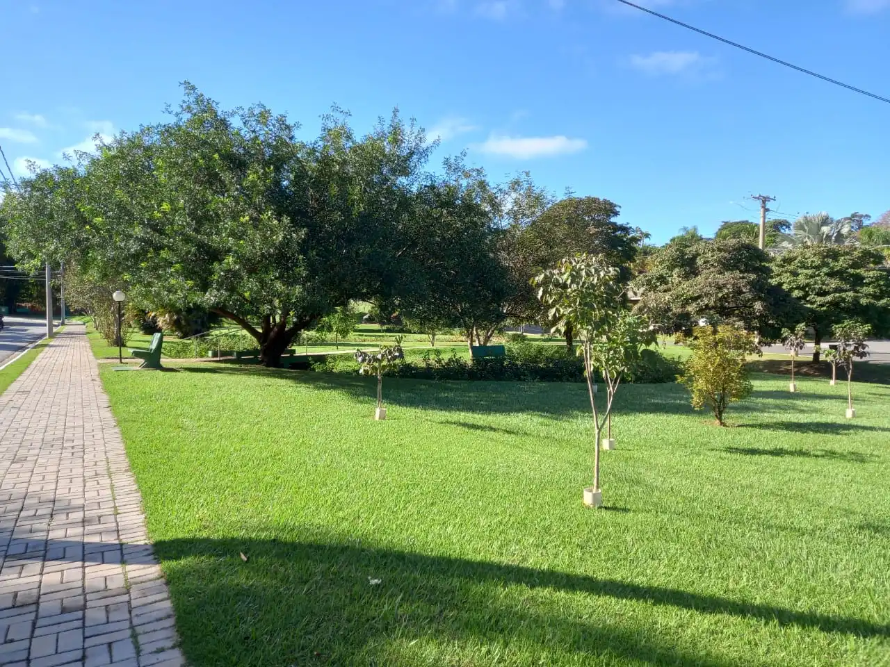 Serviços de jardinagem